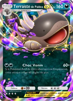 Carte Pokémon Terraistede Paldea-ex 048 — Réjouissances Rayonnantes
