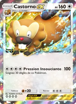 Carte Pokémon Castorno-ex 065 — Réjouissances Rayonnantes