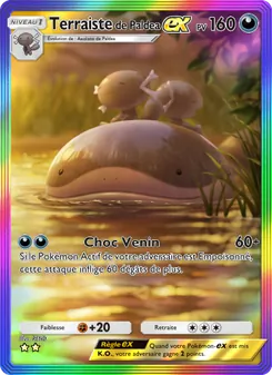 Carte Pokémon Terraistede Paldea-ex 093 — Réjouissances Rayonnantes