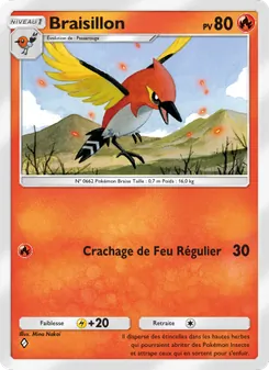 Carte Pokémon Braisillon 028 — Gardiens Astraux