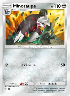 Carte Pokémon Minotaupe 119 — Gardiens Astraux