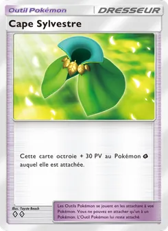 Carte Pokémon Cape Sylvestre 147 — Gardiens Astraux