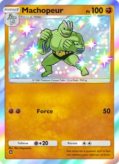 Carte Pokémon Machopeur 224 — Gardiens Astraux