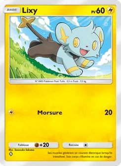 Carte Pokémon Lixy 013