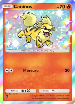 Carte Pokémon Caninos 089 — Crise Interdimensionnelle