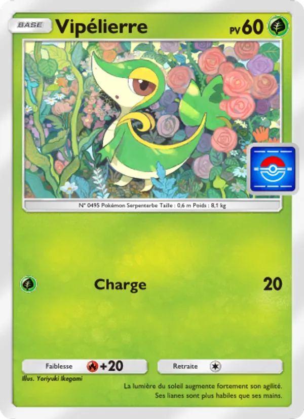 Carte Pokémon Vipélierre 027 de l'extension Promo-A