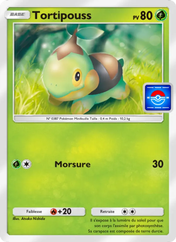 Carte Pokémon Tortipouss 035 de l'extension Promo-A