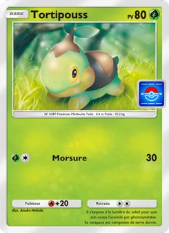 Carte Pokémon Tortipouss 035