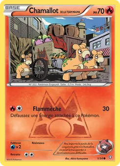Carte Pokémon Chamallot de la Team Magma 1 — Double Danger