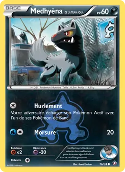 Carte Pokémon Medhyèna de la Team Aqua 16 — Double Danger