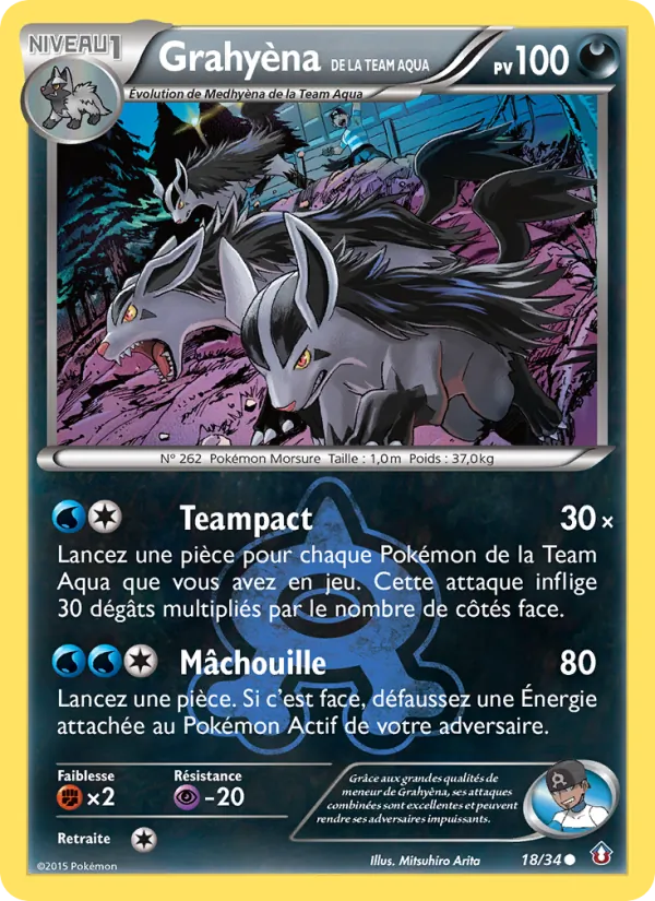 Carte Pokémon Grahyèna de la Team Aqua 18/34 de l'extension Double Danger