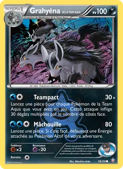 Carte Pokémon Grahyèna de la Team Aqua 18 — Double Danger
