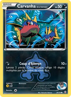 Carte Pokémon Carvanha de la Team Aqua 20 — Double Danger