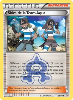 Carte Pokémon Sbire de la Team Aqua 26 — Double Danger
