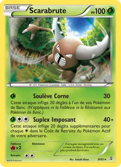 Carte Pokémon Scarabrute 9