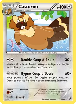 Carte Pokémon Castorno 107 — XY
