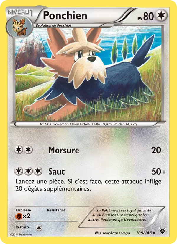 Carte Pokémon Ponchien 109/146 de l'extension XY
