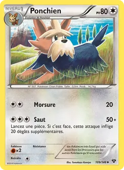 Carte Pokémon Ponchien 109 — XY