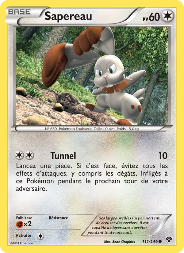 Carte Pokémon Sapereau 111/146 de l'extension XY