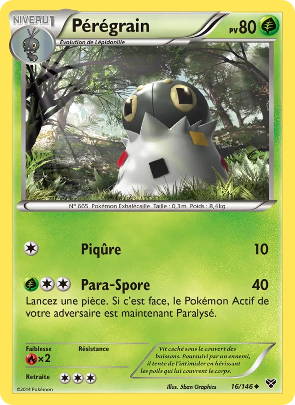 Carte Pokémon Pérégrain 16/146 de l'extension XY