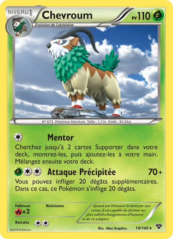 Carte Pokémon Chevroum 19/146 de l'extension XY