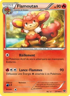 Carte Pokémon Flamoutan 23 — XY
