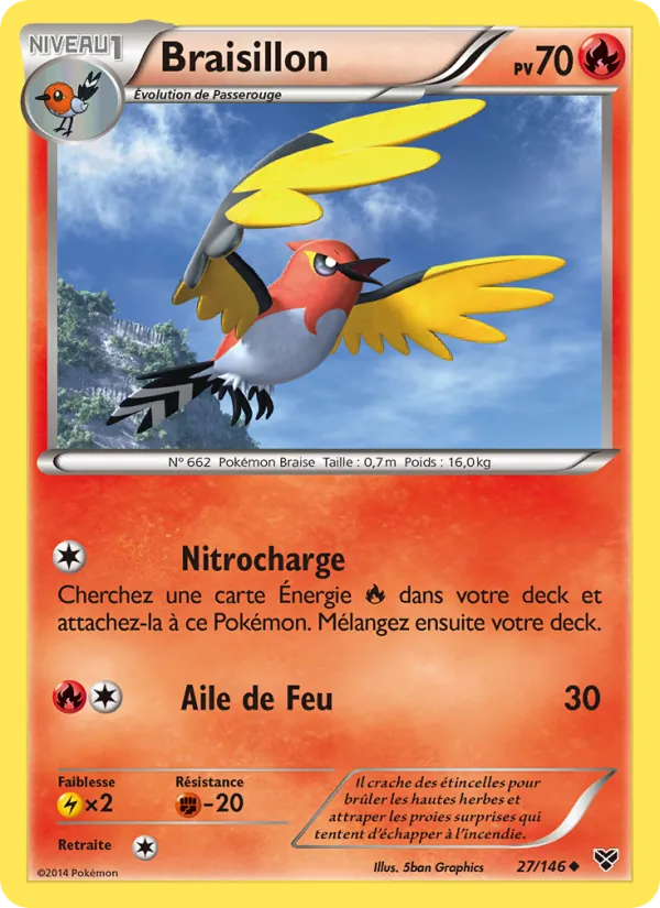 Carte Pokémon Braisillon 27/146 de l'extension XY