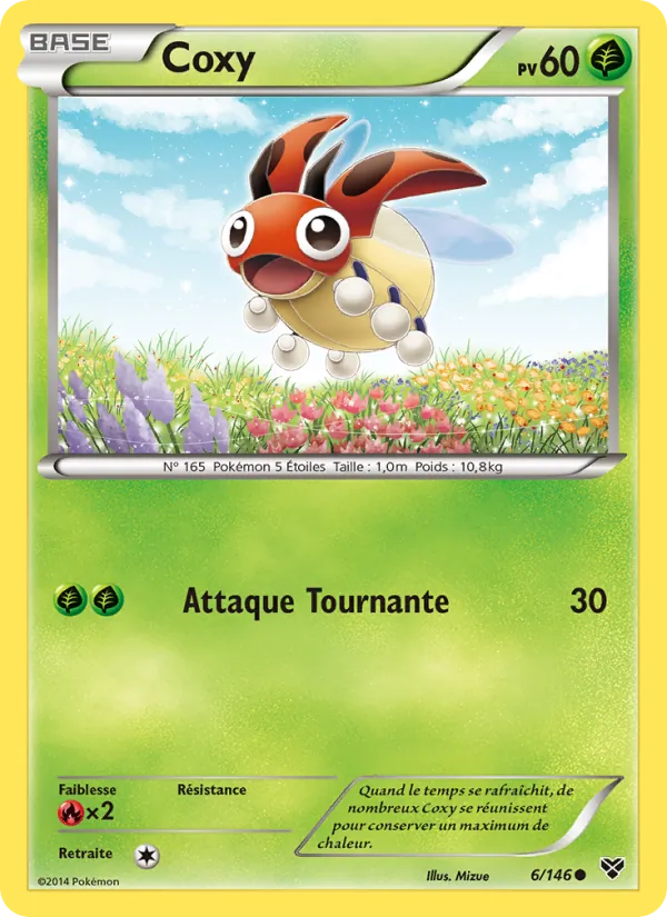 Carte Pokémon Coxy 6/146 de l'extension XY