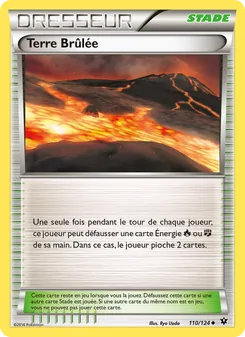 Carte Pokémon Terre Brûlée 110 — Impact des Destins