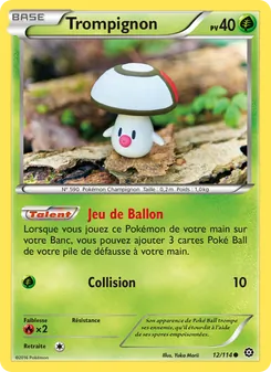 Carte Pokémon Trompignon 12