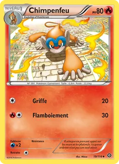 Carte Pokémon Chimpenfeu 19
