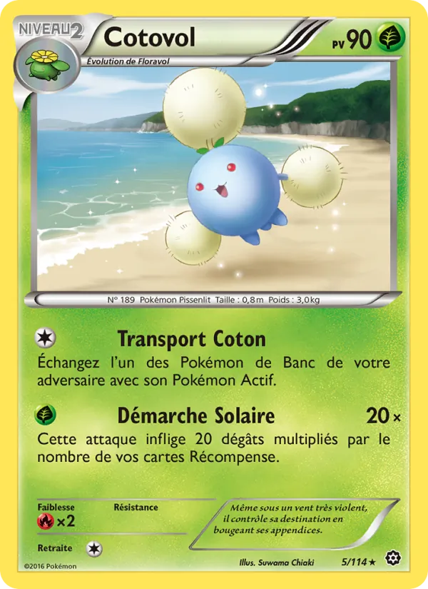 Carte Pokémon Cotovol 5/114 de l'extension Offensive Vapeur