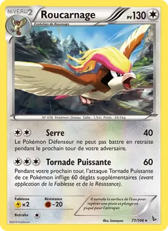 Carte Pokémon Roucarnage 77