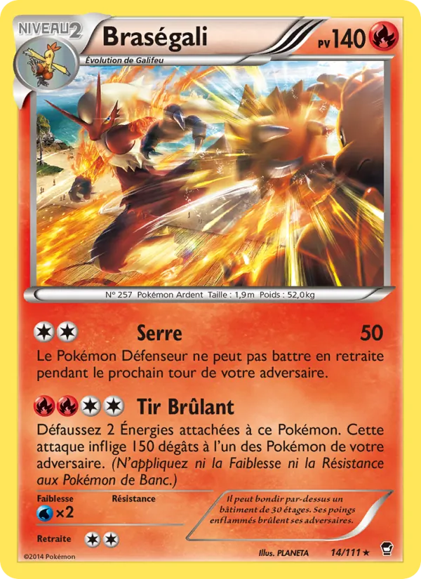Carte Pokémon Braségali 14/111 de l'extension Poings Furieux