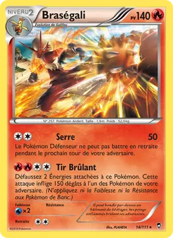 Carte Pokémon Braségali 14 — Poings Furieux