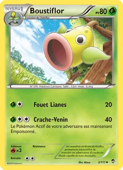 Carte Pokémon Boustiflor 2 — Poings Furieux