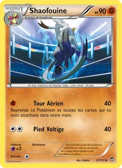 Carte Pokémon Shaofouine 57
