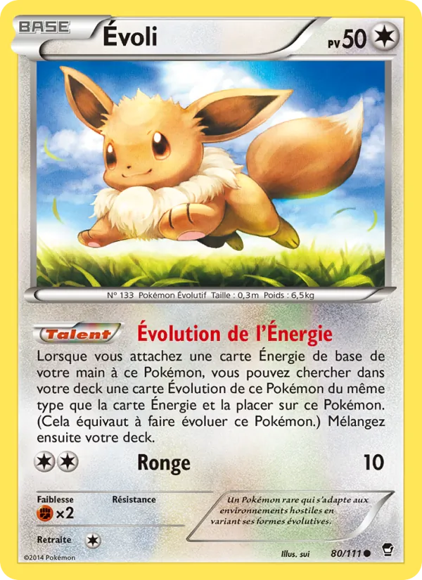 Carte Pokémon Évoli 80/111 de l'extension Poings Furieux