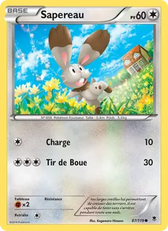 Carte Pokémon Sapereau 87