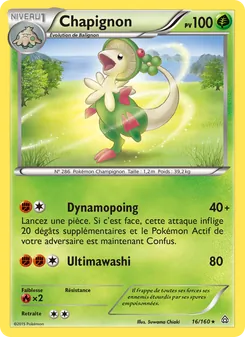 Carte Pokémon Chapignon 16