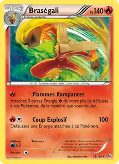 Carte Pokémon Braségali 28