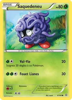 Carte Pokémon Saquedeneu 4