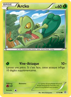 Carte Pokémon Arcko 6 — Primo-Choc