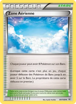Carte Pokémon Zone Aérienne 89