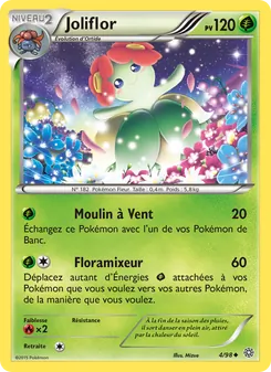 Carte Pokémon Joliflor 4