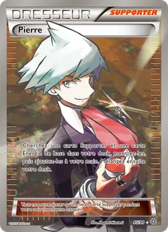 Carte Pokémon Pierre 95