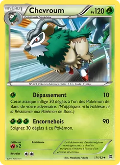 Carte Pokémon Chevroum 17