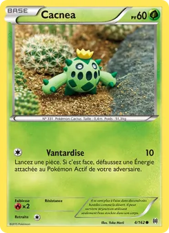 Carte Pokémon Cacnea 4