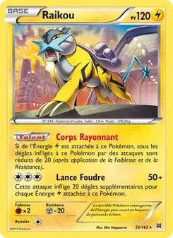 Carte Pokémon Raikou 55