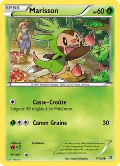 Carte Pokémon Marisson 7